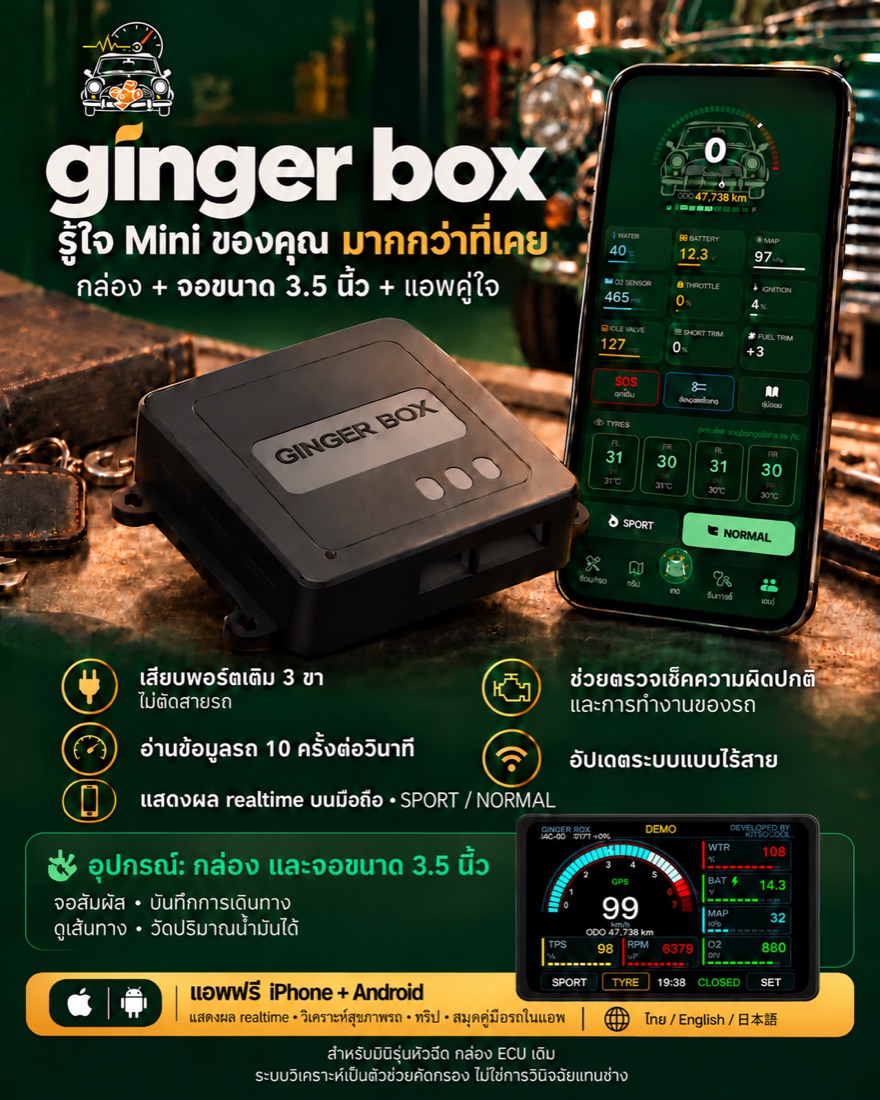 Ginger Box